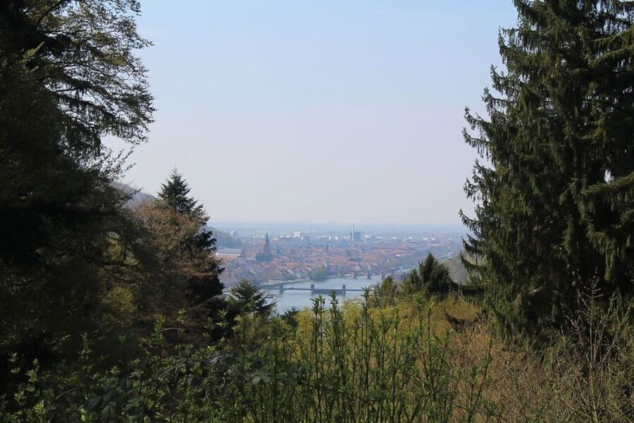 Heidelberg Highlights Segway Tour with Castle - Neckarmünzplatz to the Old Bridge, Then into the Old-City Story