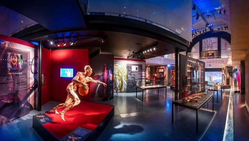Heidelberg: KÖRPERWELTEN Museum Entry Ticket - Finding Your Way: Body Worlds Museum, Altes Hallenbad