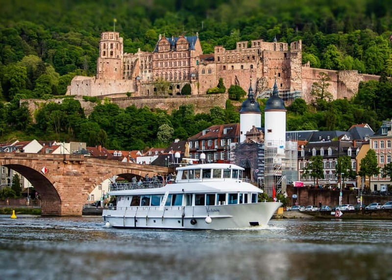 Heidelberg: Neckar River Sightseeing Cruise with a Drink - Neuenheimer riverbank villas, Philosophenweg, and what to watch for