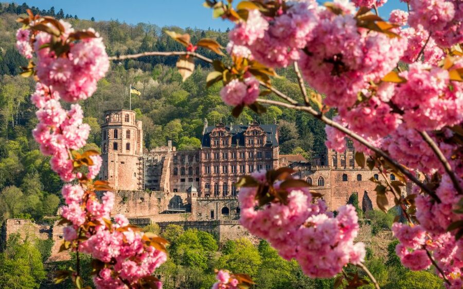 Heidelberg: Sightseeing Bus and Castle Tour - Key things you will notice on this tour