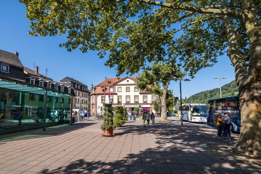 Heidelberg: Sightseeing Bus and Castle Tour - Getting Oriented on the Neckarmünzplatz Bus Tour