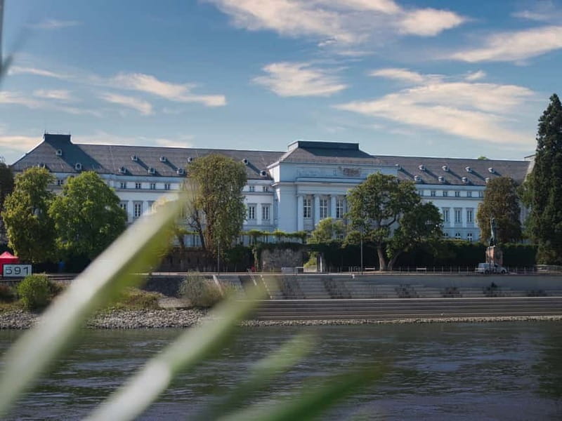 Koblenz: City & Sightseeing Boat tour on the Rhine - Who this Rhine cruise is perfect for, and who should think twice