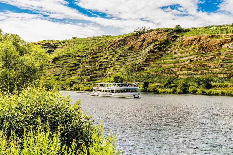 Koblenz: Panoramic Cruise on Moselle River to Winningen - Koblenz Old Town Views from the Water: A Shoreline Check You Will Enjoy