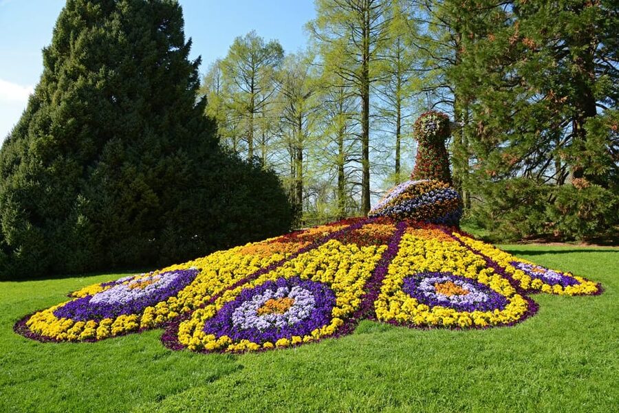 Konstanz: Mainau Island Entry Ticket - Palm Trees, Lakeside Views, and How to Plan Your One Day