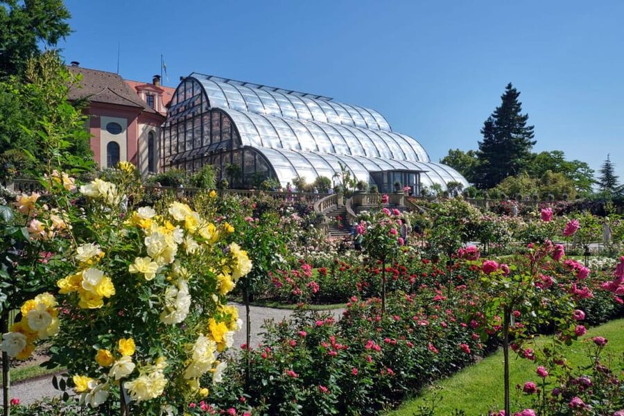 Konstanz: Mainau Island Entry Ticket - Ticket Value and Timing: What $15 Buys You (and How to Get the Best Day)