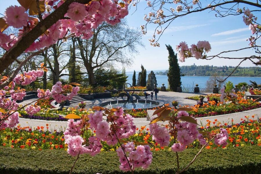 Konstanz: Mainau Island Entry Ticket - Wheelchair Accessibility and Comfort for Real Life