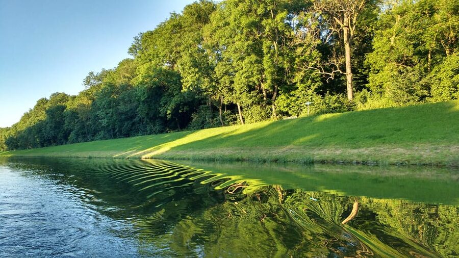 Leipzig: 2-hour Auwald Motorboat Tour - Why Leipzig’s Auwald Is Worth a Quiet 2-Hour Float