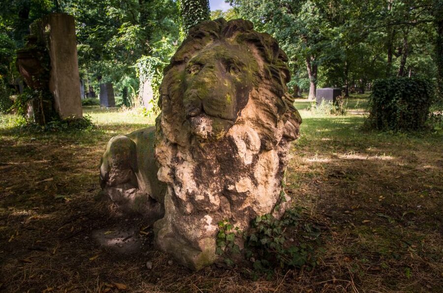 Leipzig Old Cemetery: 75-Minute Dark History Tour - Meeting in front of Grassi Museum and moving with the group
