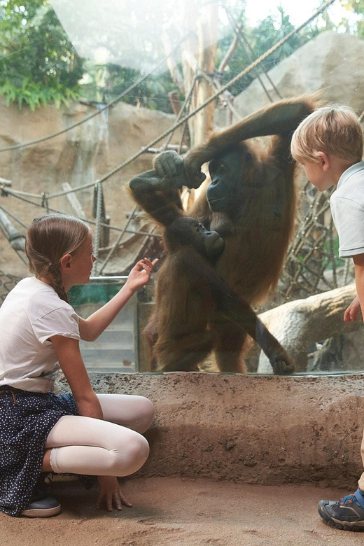 Leipzig Zoo: Entry Ticket - Key highlights at Leipzig Zoo, straight to the good stuff