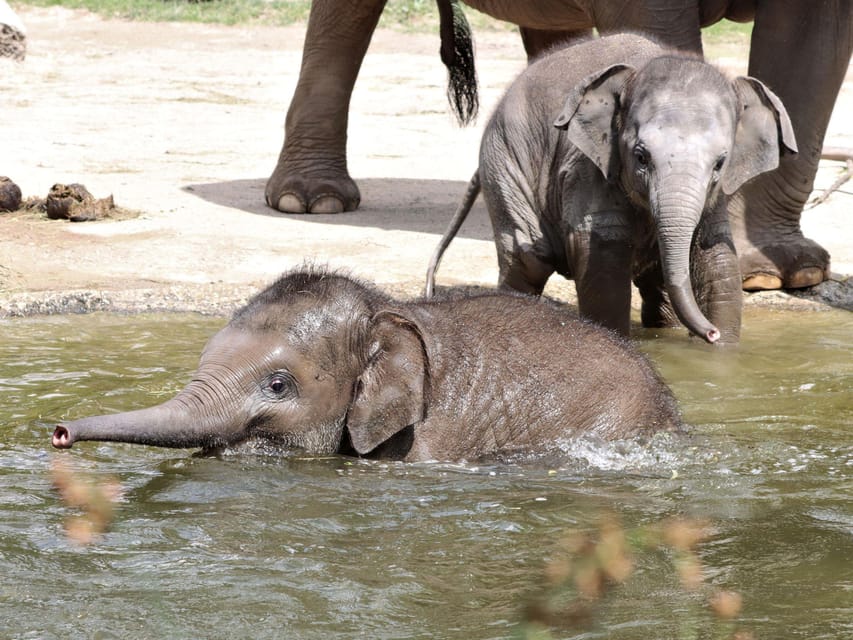 Leipzig Zoo: Entry Ticket - Practical tips so your day runs smoothly