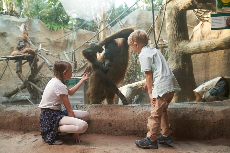 Leipzig Zoo: Entry Ticket - The other themed worlds: how to plan around the “six-world” layout