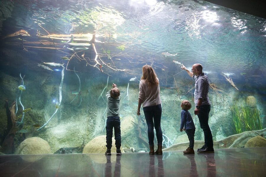 Leipzig Zoo: Entry Ticket - Price and value: is $22 a fair deal for this zoo day?
