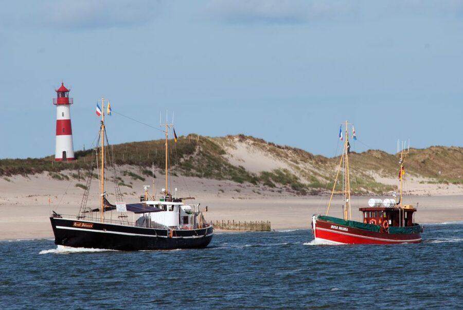 List/Sylt: Guided Seal-Watching Cruise on a Rustic Boat - Finding List Hafen and the right boat name