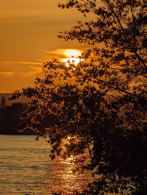 Mainz: guided evening tour of the Rhine riverbank/old town in German and English - Where You Meet and How to Not Get Stuck at the Hilton
