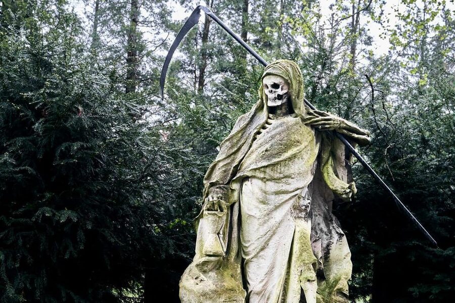 Melaten Friedhof: Guided tour with all senses - Napoleon, a tiled stove, Hennes, and the Grim Reaper: The weird facts that make it click