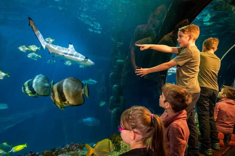 Munich: Day Ticket to Sea Life - Key highlights you should build your visit around