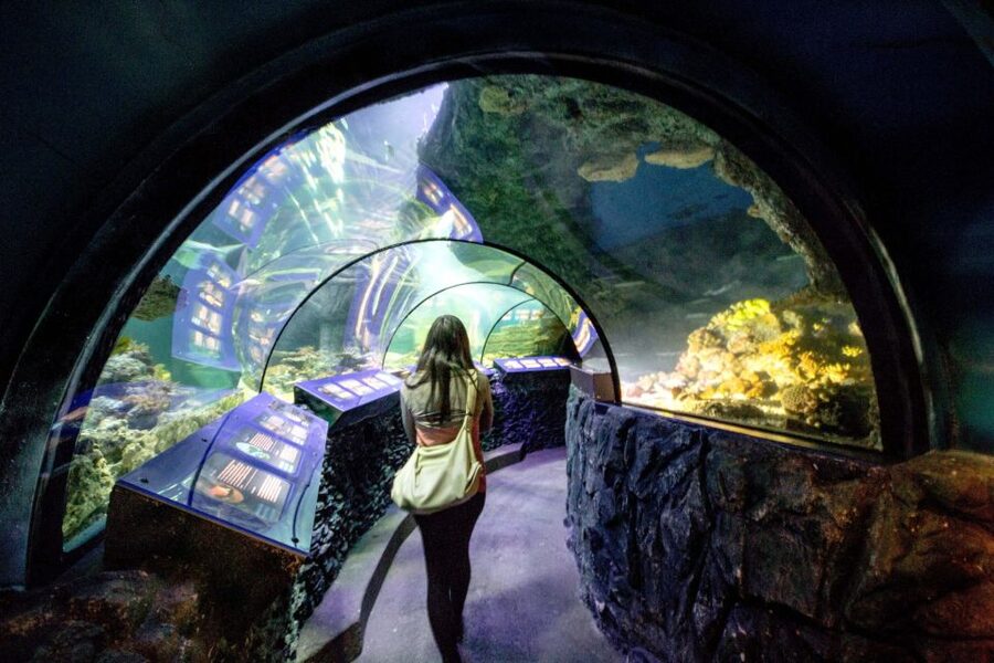 Munich: Day Ticket to Sea Life - Tickets, rules, and small practical notes that matter