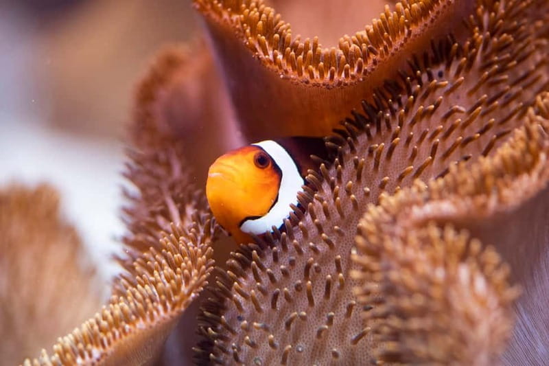 Munich: Day Ticket to Sea Life - Sea Life Munich in Olympic Park, and why it works so well