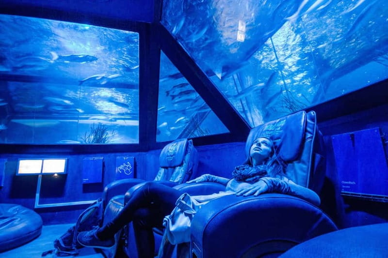 Munich: Day Ticket to Sea Life - Beyond sharks: sea turtles, small fish, and the “wow” spectrum