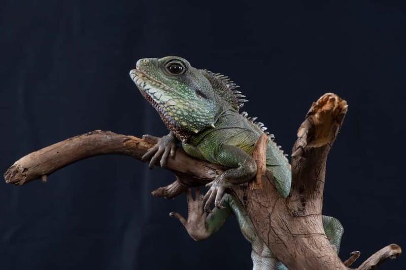 Munich: Day Ticket to Sea Life - The themed areas: Danube Delta, coral cave, and seahorse bay