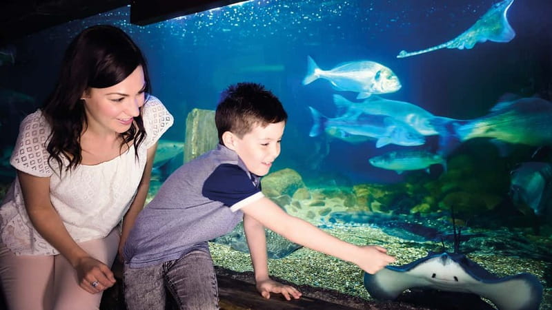 Munich: Day Ticket to Sea Life - How long to plan for, and what $21 buys you