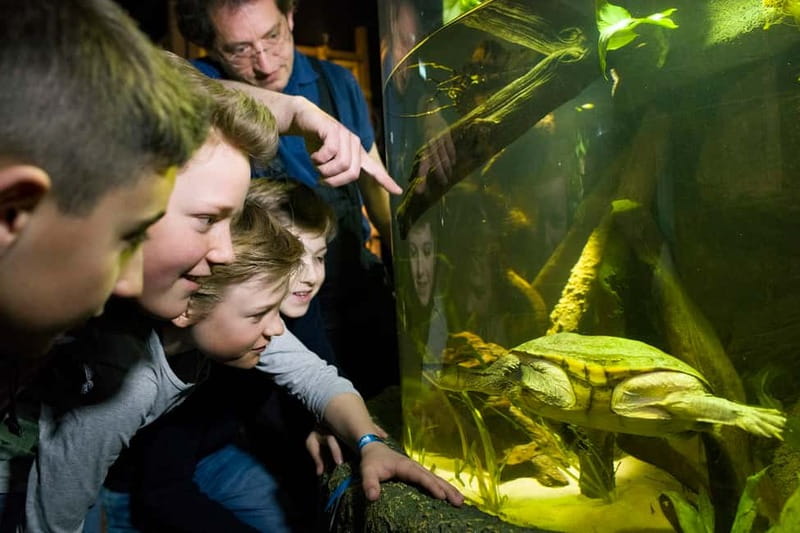 Munich: Day Ticket to Sea Life - The route: from river Isar to tropical ocean in one indoor loop
