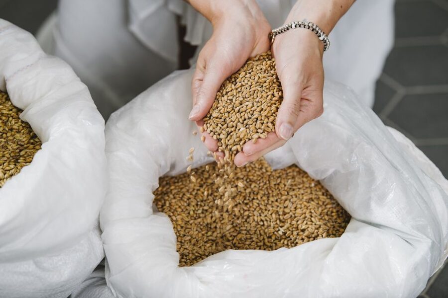 Munich: Hands-On Brewery Tour & Tasting of 4 Organic Beers - Key things to know before you go