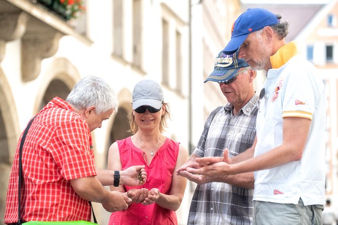 Munich: Old Town Walking Tour - English Garden, Oak and Maple Walking, and Surfers Six Hours from the Sea