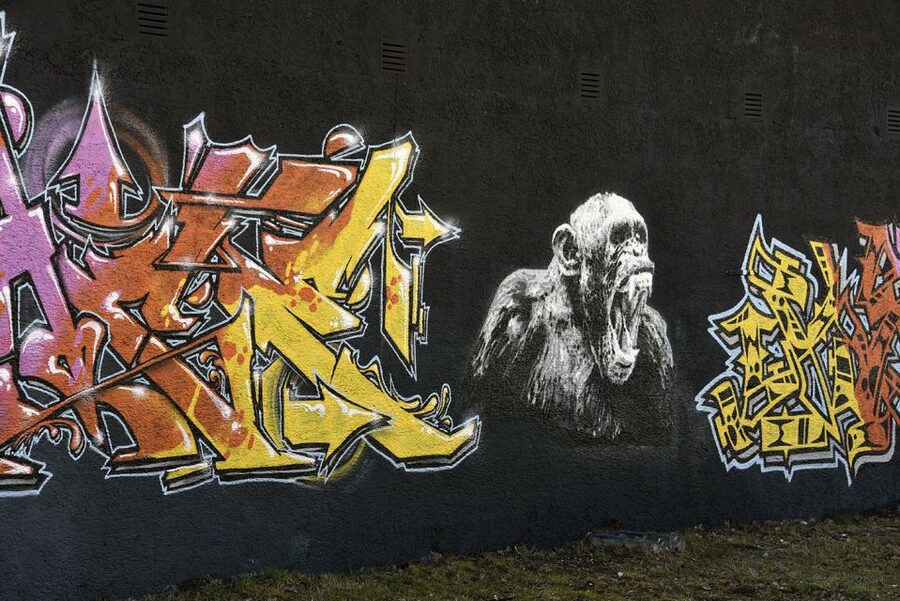 Munich: Street Art Bike Tour - Pace, bike time, and what the 210 minutes really feels like