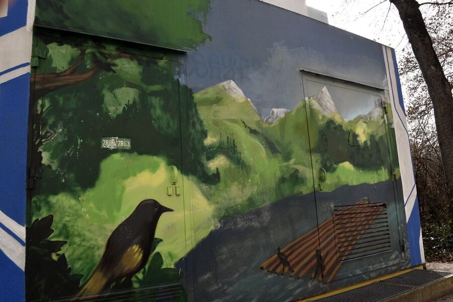 Munich: Street Art Bike Tour - Price and value: is $40 worth a street art bike tour?