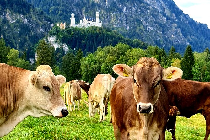 Neuschwanstein Castle, Ettal Abbey and Oberammergau Private Tour from Munich - Getting the most from your castle time (without sprinting)