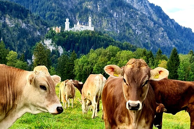 Neuschwanstein Castle Tour with Skip the Line from Hohenschwangau - Horse-Drawn Carriage Down to Hohenschwangau, Plus Lake Alpsee