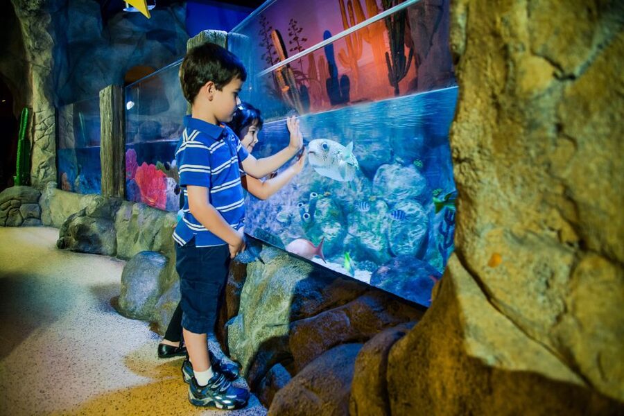 Oberhausen: LEGOLAND Discovery Centre and SEA LIFE Ticket - Kingdom Quest and Merlins Apprentice: indoor rides that fit the family rhythm
