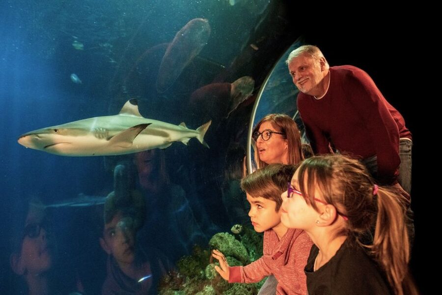 Oberhausen: LEGOLAND Discovery Centre and SEA LIFE Ticket - Price and value: is $38 per person a good deal?