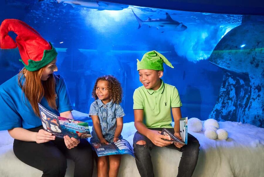 Oberhausen: SEA LIFE Oberhausen Entry Ticket - A practical way to plan your route once you enter