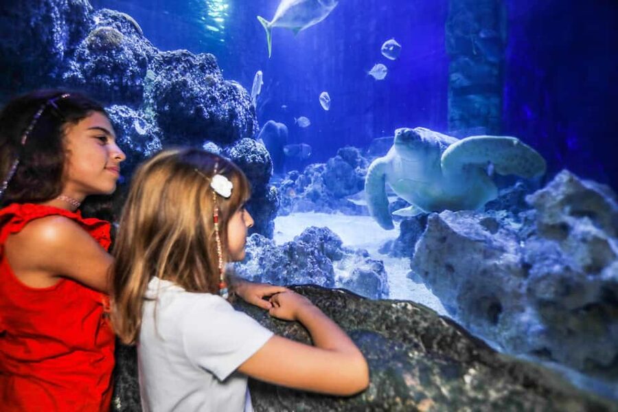 Oberhausen: SEA LIFE Oberhausen Entry Ticket - Sea Life Oberhausen is built for a full, easy aquarium day