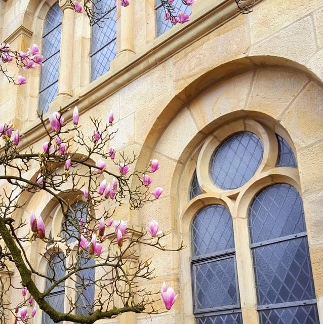 Osnabrück: Rathaus- und Altstadt Tour (Stadtführung) - What the Guide Adds: Stories That Make the City Feel Small and Understandable