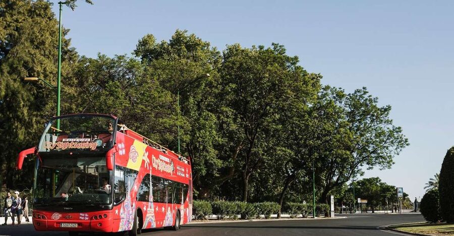 Potsdam: City Sightseeing Hop-On Hop-Off Bus Tour - What $23 gets you in Potsdam (and why it can be good value)