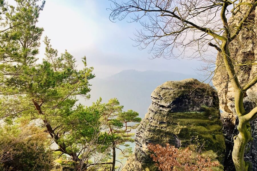 Prague: All-inclusive trip to Bohemian and Saxon Switzerland - Pace, walking surfaces, and what to pack so the day feels good