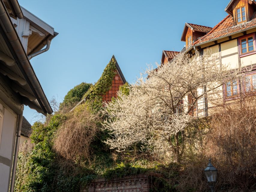 Quedlinburg: Guided City Highlights Walking Tour - Quedlinburg’s UNESCO World Heritage feels real on a 2-hour walk