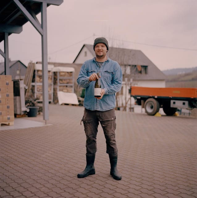 Reil, Mosel: Guided organic wine tasting and cellar tour - Vineyard Tour: Organic Vines, Soil Questions, and Real-World Answers