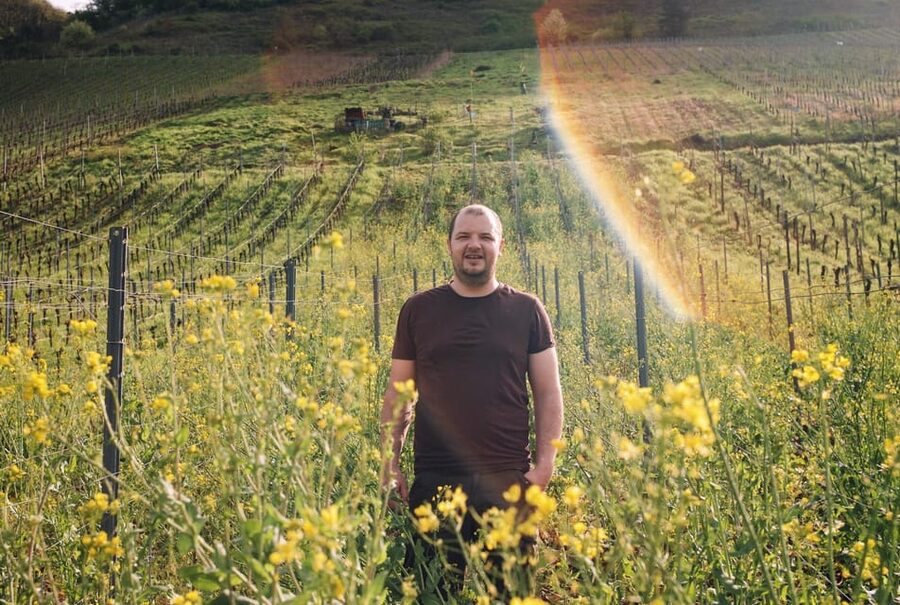 Reil, Mosel: Guided organic wine tasting and cellar tour - Who This Tour Fits Best in Your Mosel Plan