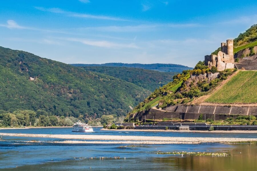 Rhine Valley Castles: 1.5-Hour Boat Tour from Rüdesheim - Food and Drinks on Board: Cash, and Timing Your Orders