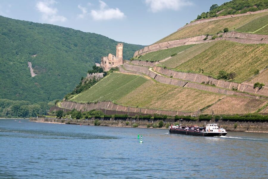 Rhine Valley Castles: 1.5-Hour Boat Tour from Rüdesheim - Binger Loch Mouse Tower: The Myth Meets the River