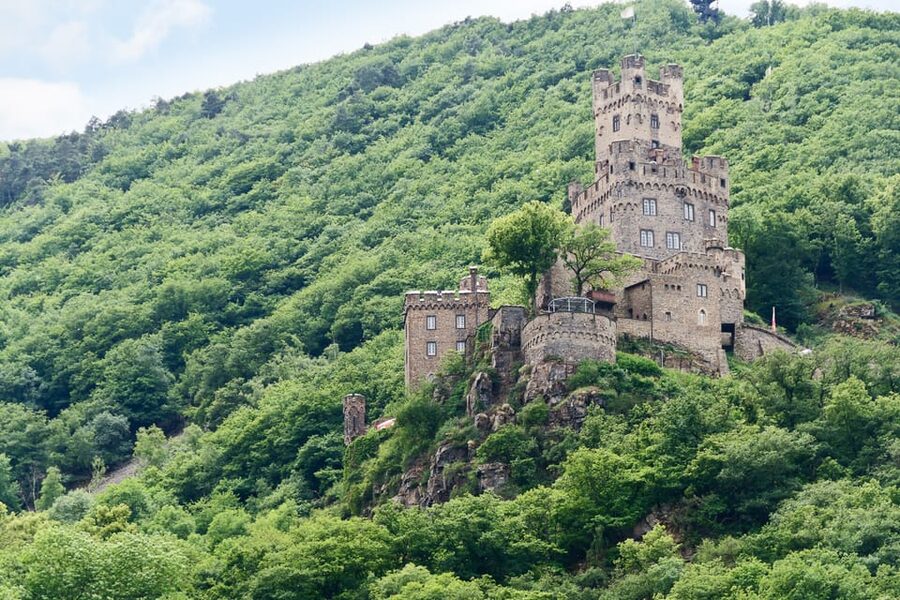 Rhine Valley Castles: 1.5-Hour Boat Tour from Rüdesheim - Assmannhausen Vineyards, Bingen, and the Rüdesheim Finish