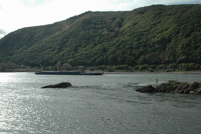 Rhine Valley Trip from Frankfurt including Rhine River Cruise - Half-Day vs Full-Day, Which One Fits Your Schedule and Pace