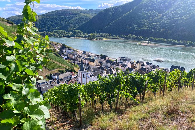 Rhine Valley Wine Tasting Tour from Frankfurt and Mainz - Key highlights at a glance