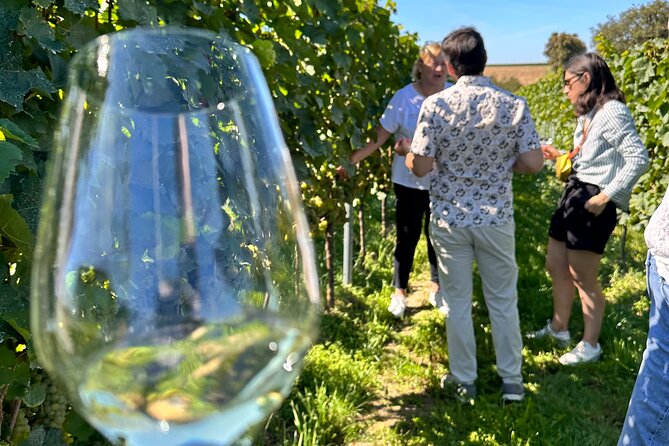 Rhine Valley Wine Tasting Tour from Frankfurt and Mainz - Expect a lot of wine, and the smart pacing tricks that help