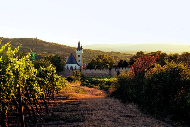 Rhine Valley Wine Tasting Tour from Frankfurt and Mainz - Price and value check for a $476.68 per person wine day
