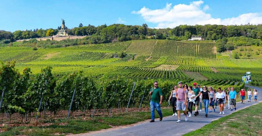 Rüdesheim - Guided wine hikes with 4wines and cable car ride - Key Things That Make This Tour Worth Your Saturday Afternoon